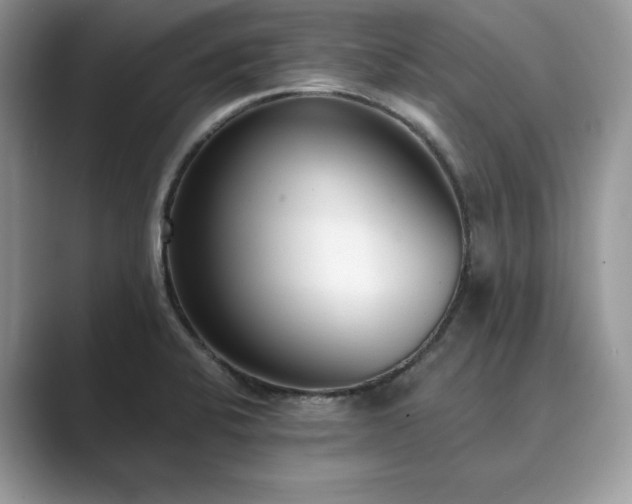 X0000089901424200707051259