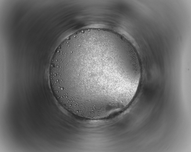 X0000089901425200707051259