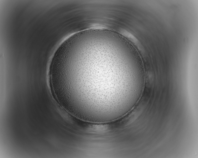 X0000089901427200707051259