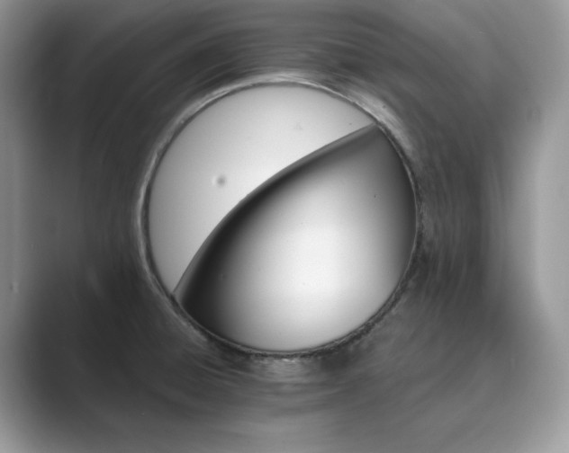 X0000089901428200707051259