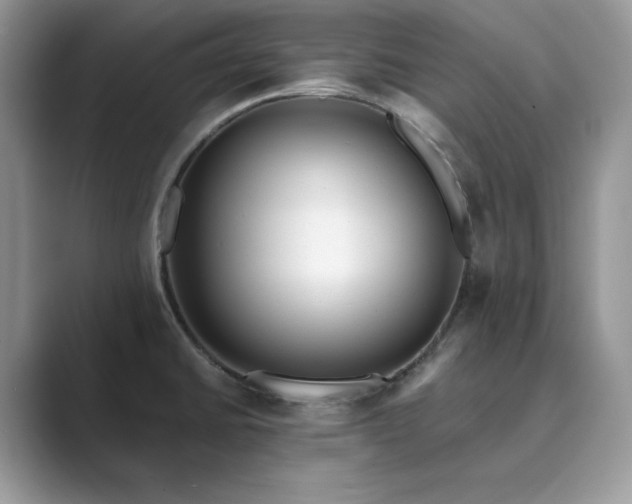 X0000089901430200707051259