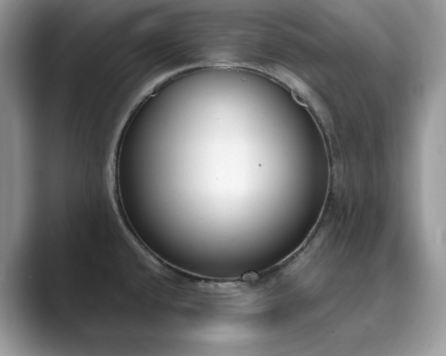 X0000089901432200707051259