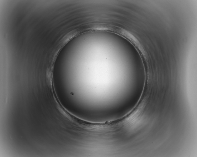 X0000089901433200707051259