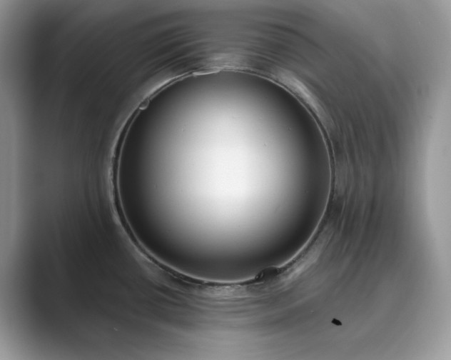 X0000089901434200707051259
