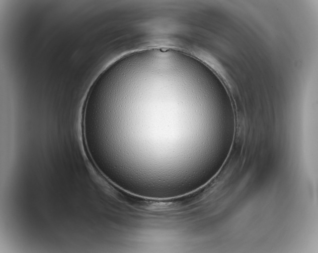 X0000089901439200707051259