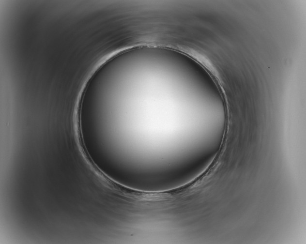 X0000089901440200707051259