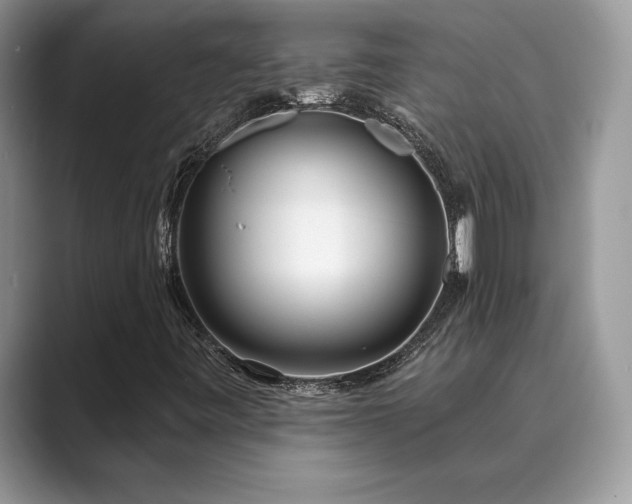 X0000089901443200707051259