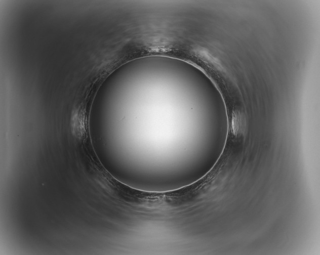 X0000089901444200707051259