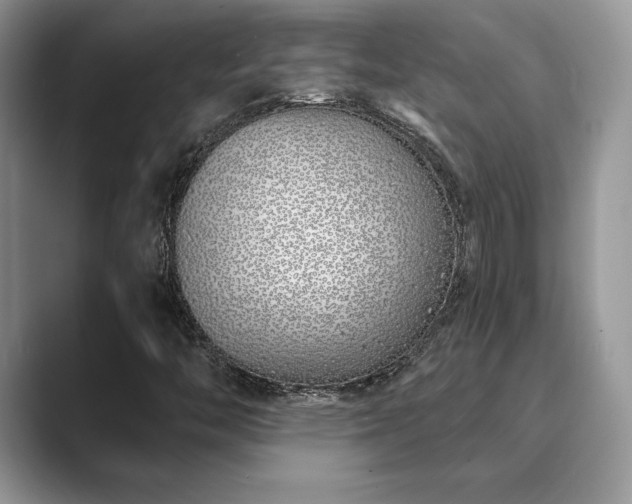X0000089901446200707051259