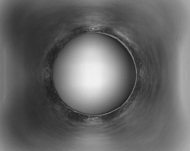 X0000089901447200707051259