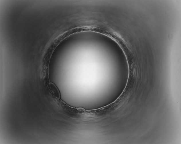 X0000089901448200707051258