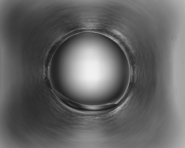 X0000089901449200707051258