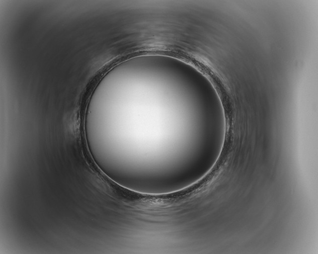 X0000089901450200707051258