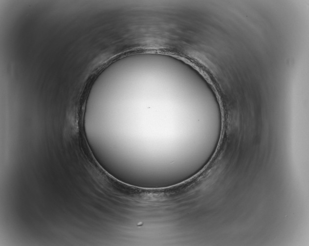 X0000089901451200707051258