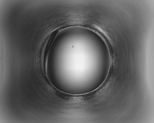 X0000089901453200707051258