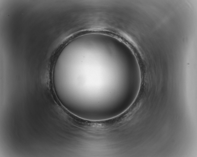 X0000089901456200707051258