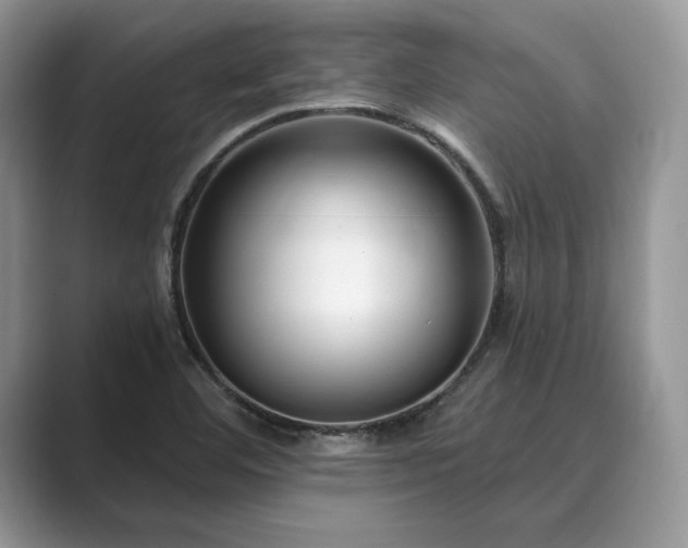 X0000089901460200707051258