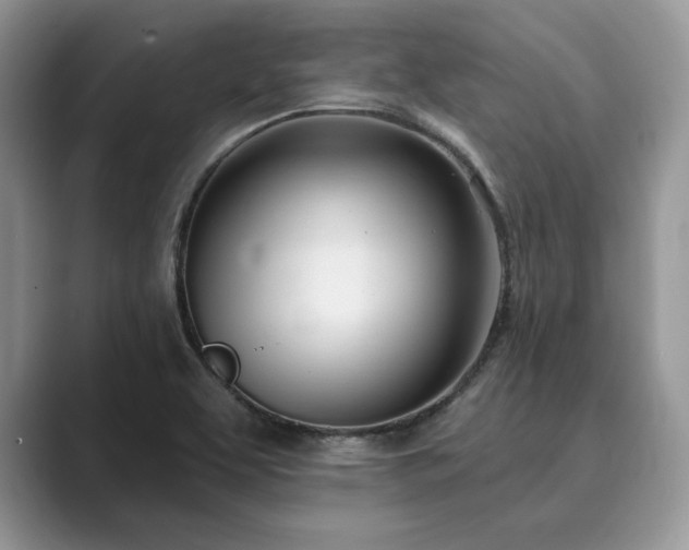 X0000089901463200707051258
