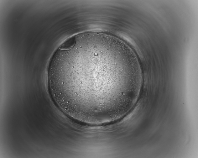 X0000089901467200707051258