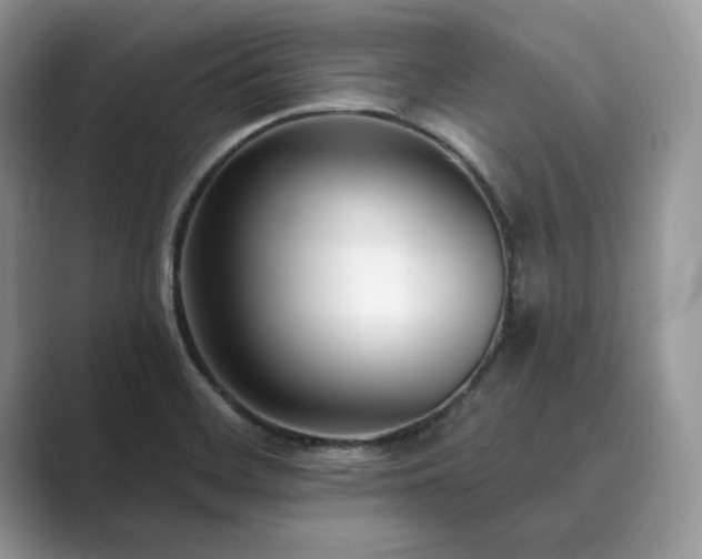 X0000089901468200707051258