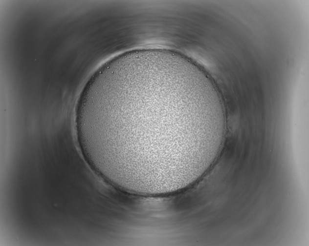 X0000089901470200707051258
