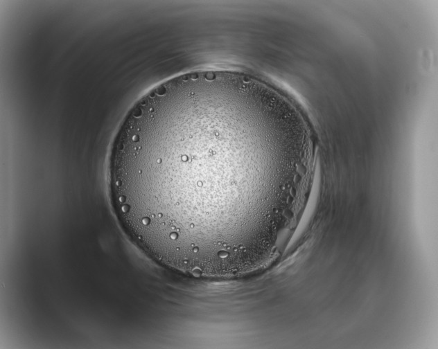 X0000089901471200707051258