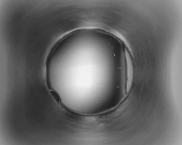 X0000089901472200707051258