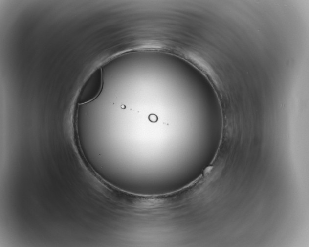 X0000089901475200707051258