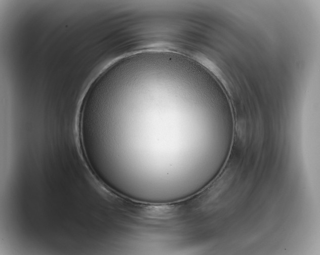 X0000089901482200707051258
