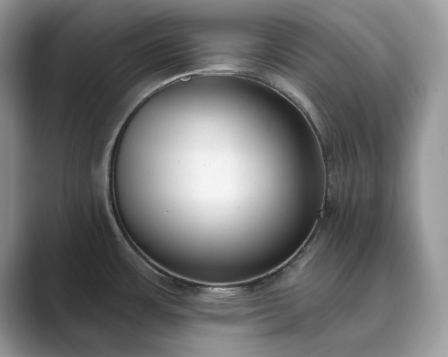 X0000089901483200707051258