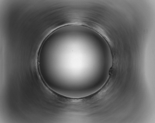 X0000089901484200707051258