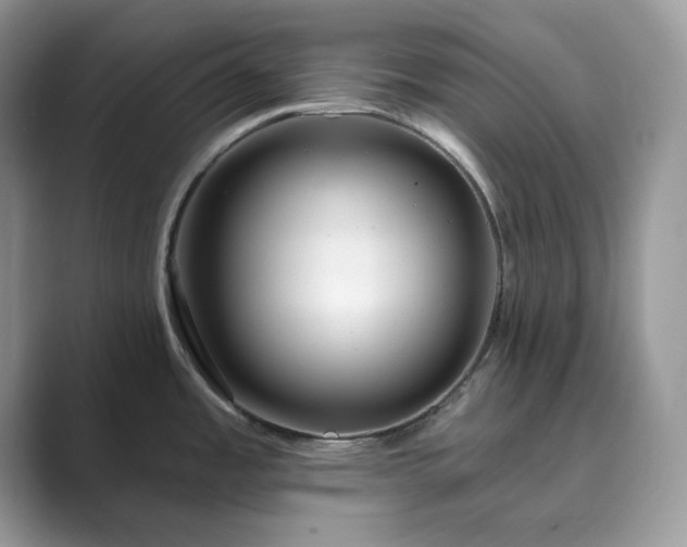 X0000089901485200707051258