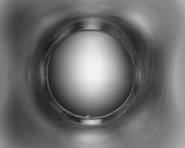 X0000089901487200707051258