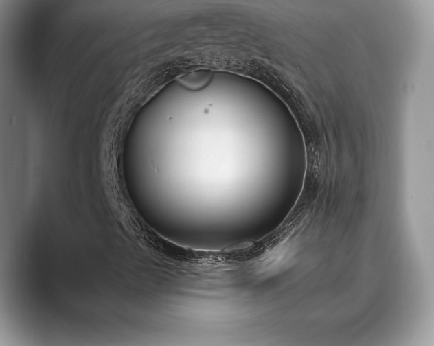X0000089901489200707051257