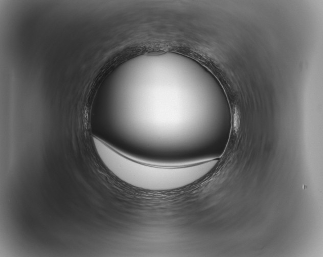 X0000089901492200707051257