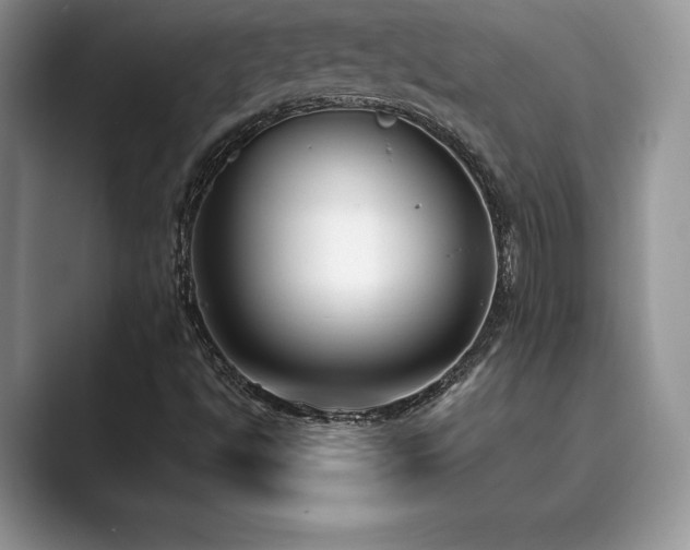 X0000089901494200707051257
