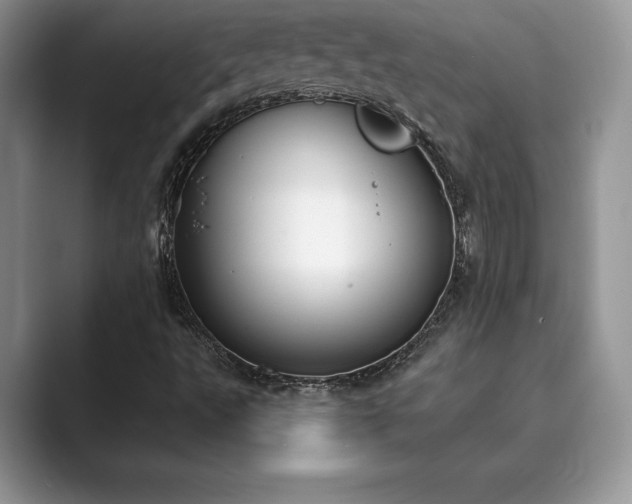 X0000089901495200707051257
