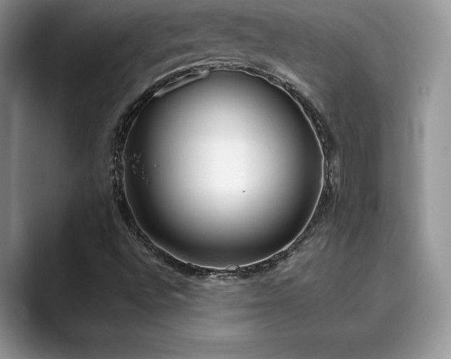 X0000089901496200707051257