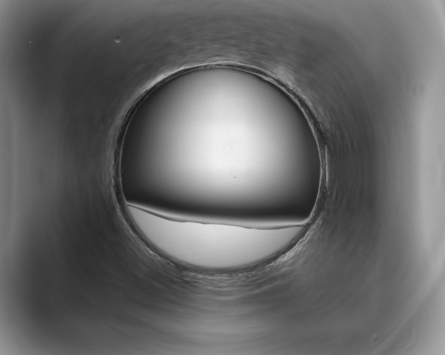 X0000089901500200707051257