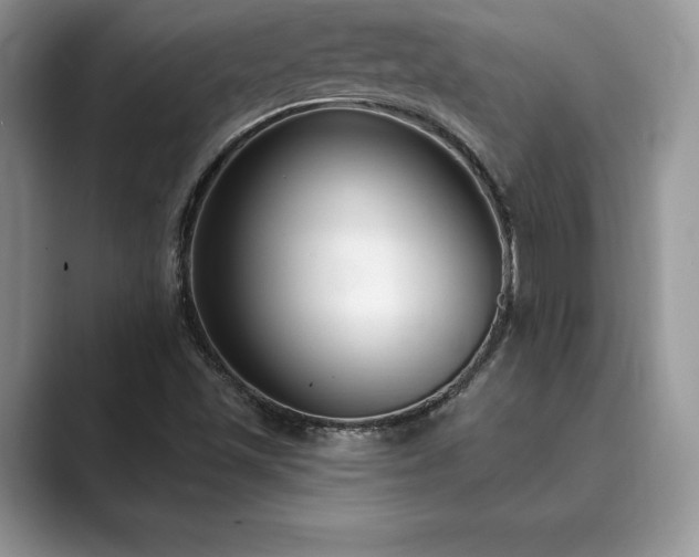 X0000089901501200707051257