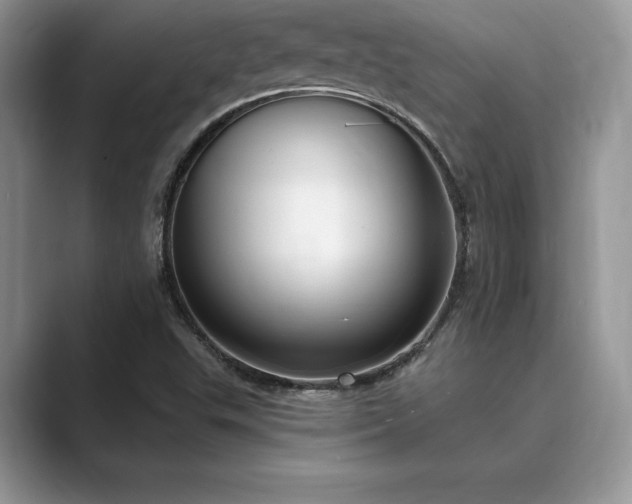 X0000089901503200707051257
