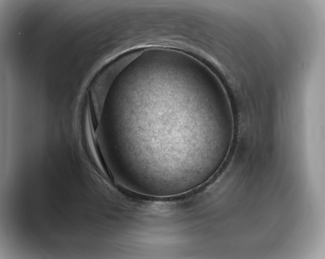 X0000089901506200707051257