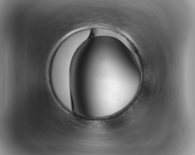 X0000089901508200707051258