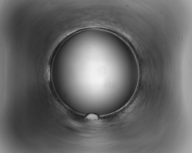 X0000089901509200707051258