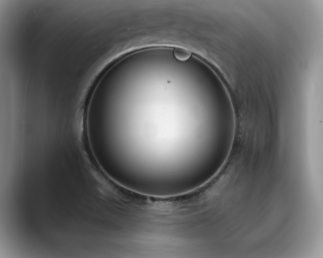 X0000089901511200707051258