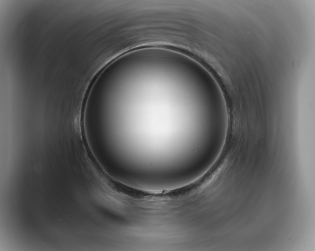 X0000089901513200707051258