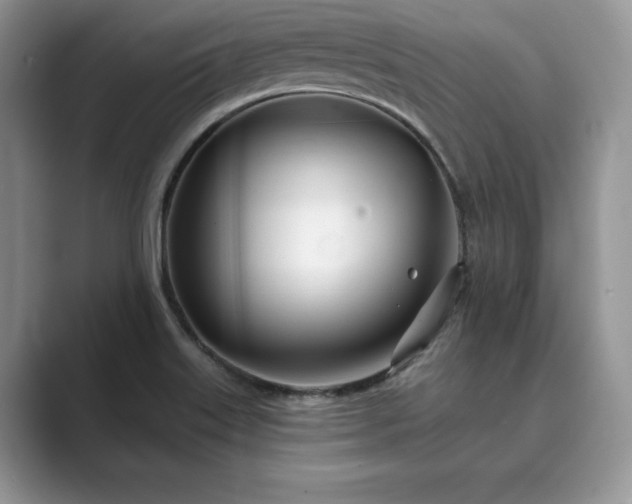 X0000089901515200707051258