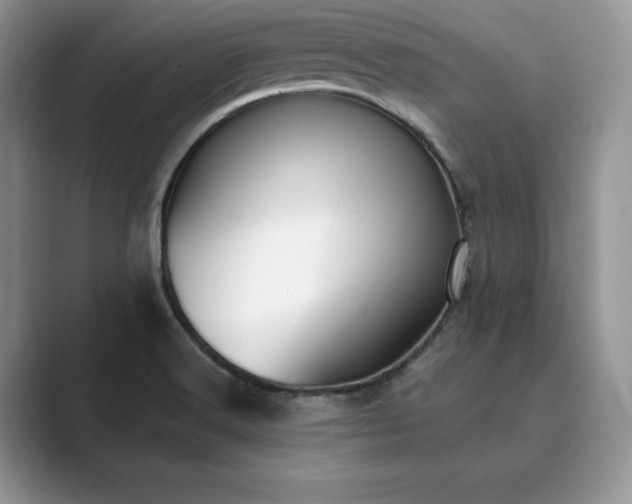 X0000089901516200707051258