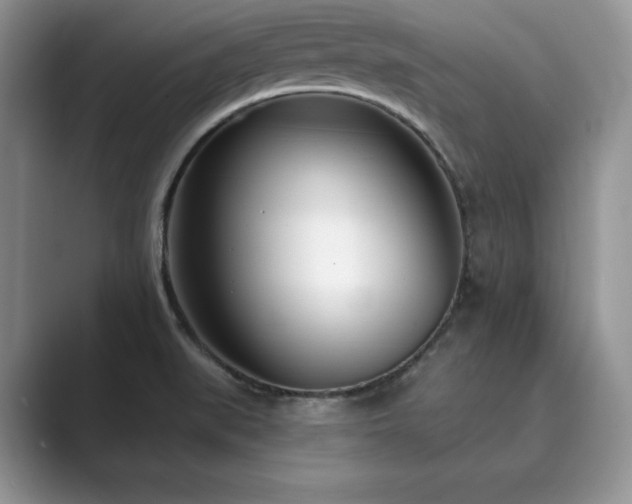 X0000089901519200707051258