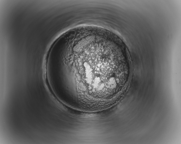 X0000089901522200707051258